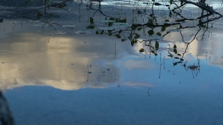 No Copyright Video, No Copyright Stock Footage, No Copyright Stock Video Clip