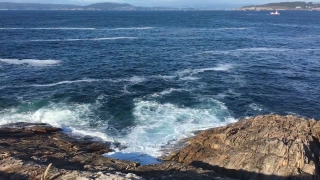 No Copyright Video, No Copyright Stock Footage, No Copyright Stock Video Clip