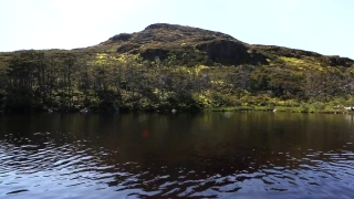 No Copyright Video, No Copyright Stock Footage, No Copyright Stock Video Clip