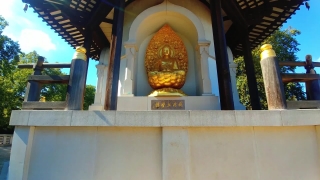 No Copyright Video, No Copyright Stock Footage, No Copyright Stock Video Clip