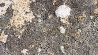 No Copyright Video, No Copyright Stock Footage, No Copyright Stock Video Clip