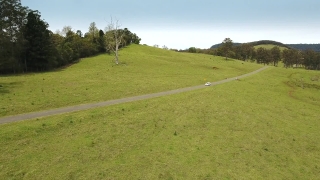 No Copyright Video, No Copyright Stock Footage, No Copyright Stock Video Clip