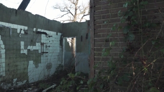 No Copyright Video, No Copyright Stock Footage, No Copyright Stock Video Clip