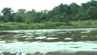 No Copyright Video, No Copyright Stock Footage, No Copyright Stock Video Clip