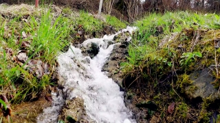 No Copyright Video, No Copyright Stock Footage, No Copyright Stock Video Clip