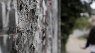 No Copyright Video, No Copyright Stock Footage, No Copyright Stock Video Clip