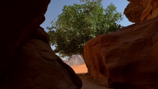 No Copyright Video, No Copyright Stock Footage, No Copyright Stock Video Clip