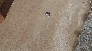 No Copyright Video, No Copyright Stock Footage, No Copyright Stock Video Clip