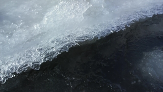 No Copyright Video, No Copyright Stock Footage, No Copyright Stock Video Clip