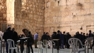 No Copyright Video, No Copyright Stock Footage, No Copyright Stock Video Clip