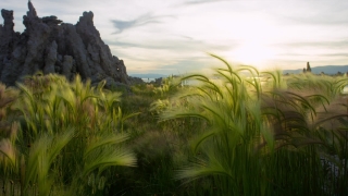 No Copyright Video, No Copyright Stock Footage, No Copyright Stock Video Clip