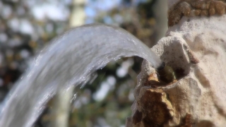 No Copyright Video, No Copyright Stock Footage, No Copyright Stock Video Clip