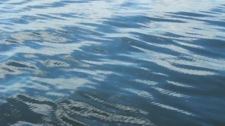 No Copyright Video, No Copyright Stock Footage, No Copyright Stock Video Clip