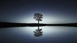 No Copyright Video, No Copyright Stock Footage, No Copyright Stock Video Clip