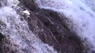 No Copyright Video, No Copyright Stock Footage, No Copyright Stock Video Clip