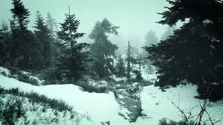 No Copyright Video, No Copyright Stock Footage, No Copyright Stock Video Clip