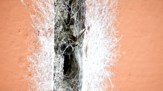 No Copyright Video, No Copyright Stock Footage, No Copyright Stock Video Clip