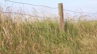 No Copyright Video, No Copyright Stock Footage, No Copyright Stock Video Clip