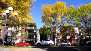 No Copyright Video, No Copyright Stock Footage, No Copyright Stock Video Clip