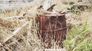 No Copyright Video, No Copyright Stock Footage, No Copyright Stock Video Clip