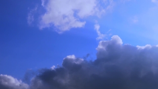 No Copyright Video, No Copyright Stock Footage, No Copyright Stock Video Clip