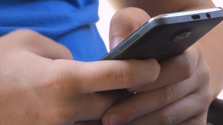 No Copyright Video, No Copyright Stock Footage, No Copyright Stock Video Clip