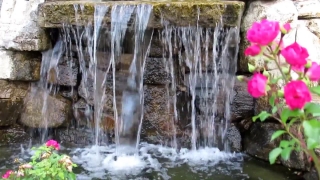 No Copyright Video, No Copyright Stock Footage, No Copyright Stock Video Clip