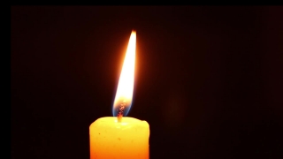 No Copyright Video, No Copyright Stock Footage, No Copyright Stock Video Clip