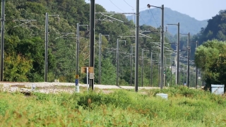 No Copyright Video, No Copyright Stock Footage, No Copyright Stock Video Clip