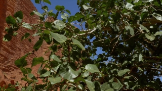 No Copyright Video, No Copyright Stock Footage, No Copyright Stock Video Clip