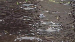 No Copyright Video, No Copyright Stock Footage, No Copyright Stock Video Clip