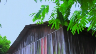 No Copyright Video, No Copyright Stock Footage, No Copyright Stock Video Clip