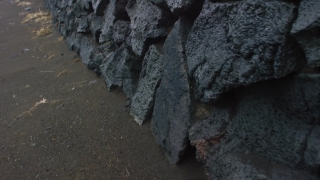 No Copyright Video, No Copyright Stock Footage, No Copyright Stock Video Clip