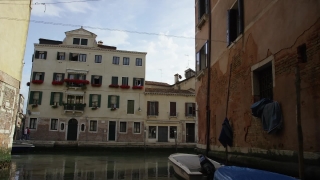 No Copyright Video, No Copyright Stock Footage, No Copyright Stock Video Clip