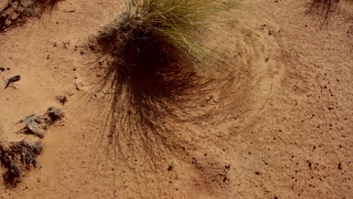 No Copyright Video, No Copyright Stock Footage, No Copyright Stock Video Clip