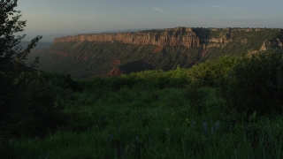 No Copyright Video, No Copyright Stock Footage, No Copyright Stock Video Clip