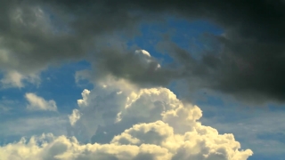 No Copyright Video, No Copyright Stock Footage, No Copyright Stock Video Clip