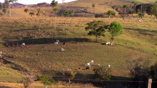 No Copyright Video, No Copyright Stock Footage, No Copyright Stock Video Clip