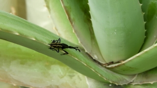 No Copyright Video, No Copyright Stock Footage, No Copyright Stock Video Clip