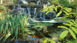 No Copyright Video, No Copyright Stock Footage, No Copyright Stock Video Clip