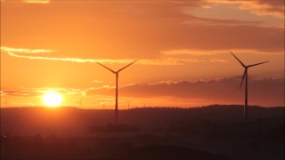 No Copyright Video, No Copyright Stock Footage, No Copyright Stock Video Clip