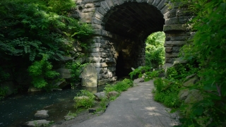 No Copyright Video, No Copyright Stock Footage, No Copyright Stock Video Clip