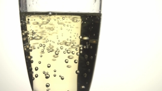 No Copyright Video, No Copyright Stock Footage, No Copyright Stock Video Clip