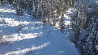 No Copyright Video, No Copyright Stock Footage, No Copyright Stock Video Clip