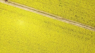 No Copyright Video, No Copyright Stock Footage, No Copyright Stock Video Clip