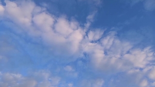 No Copyright Video, No Copyright Stock Footage, No Copyright Stock Video Clip