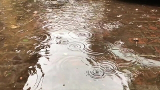 No Copyright Video, No Copyright Stock Footage, No Copyright Stock Video Clip