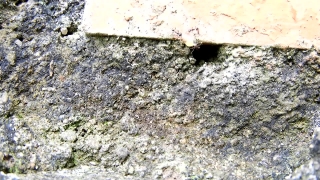 No Copyright Video, No Copyright Stock Footage, No Copyright Stock Video Clip