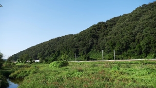 No Copyright Video, No Copyright Stock Footage, No Copyright Stock Video Clip