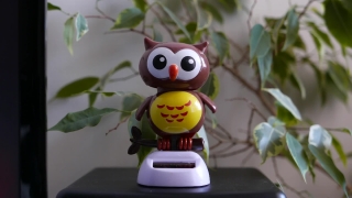 No Copyright Video, No Copyright Stock Footage, No Copyright Stock Video Clip